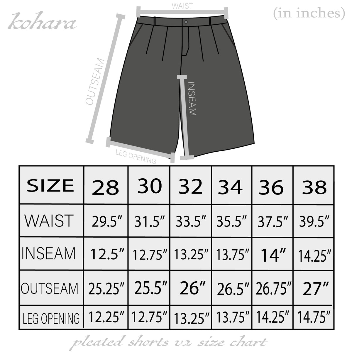 Pleated Shorts v2 "Anthracite"