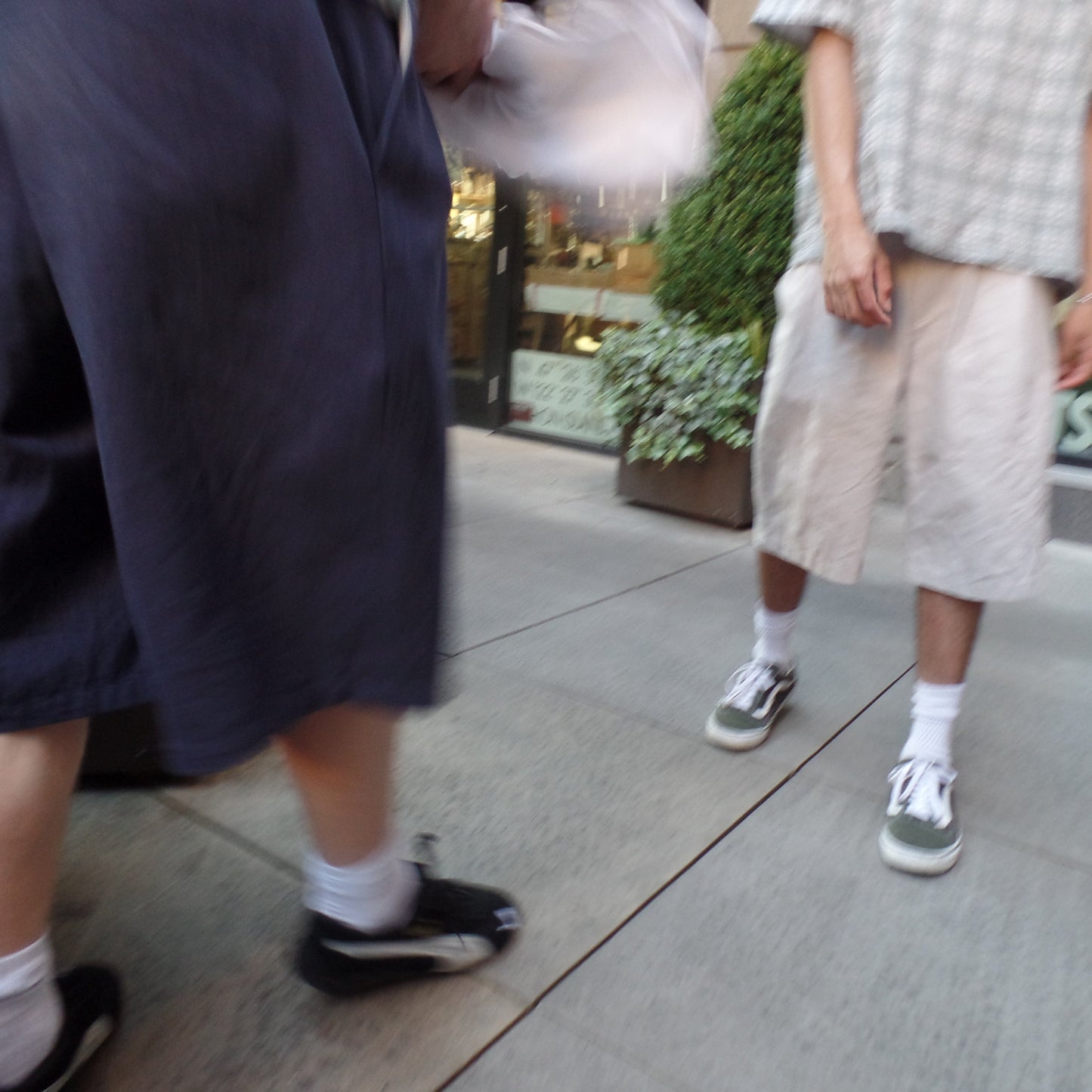 "Navy" Pleated Shorts